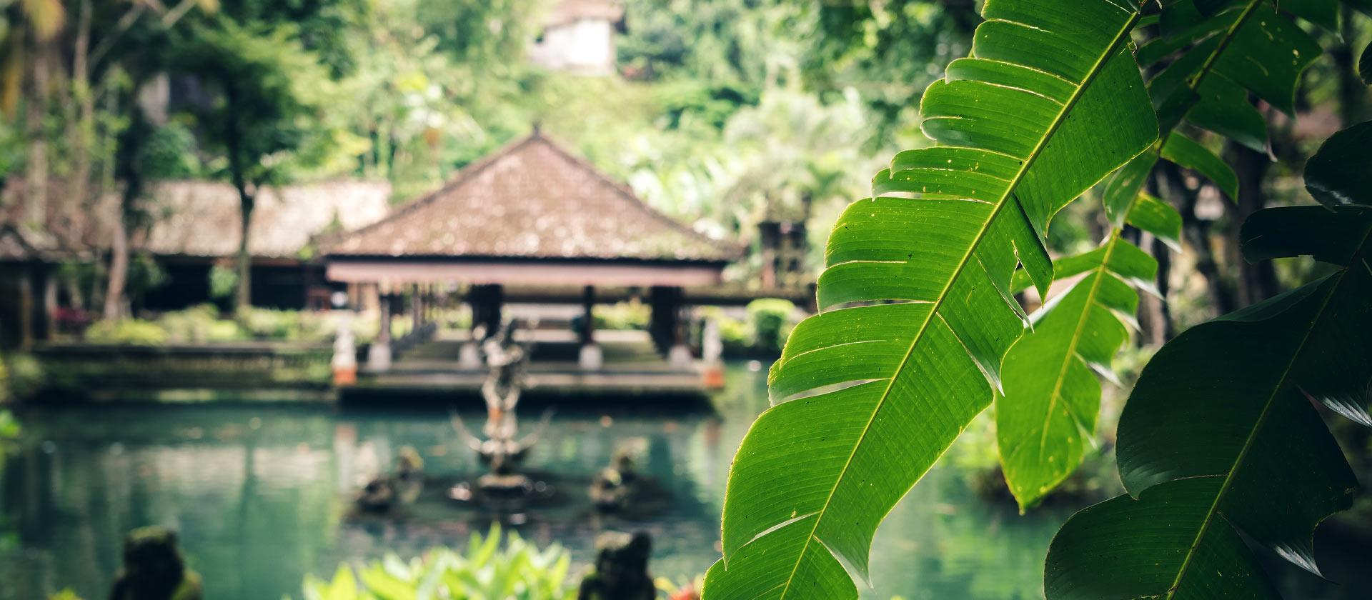 des bâtiments dans la forêt de Bali