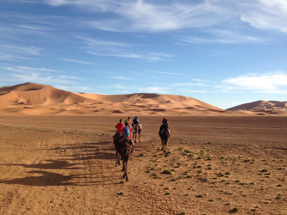 des voyageurs AROVoyages à dos de chameau se promène dans le desert