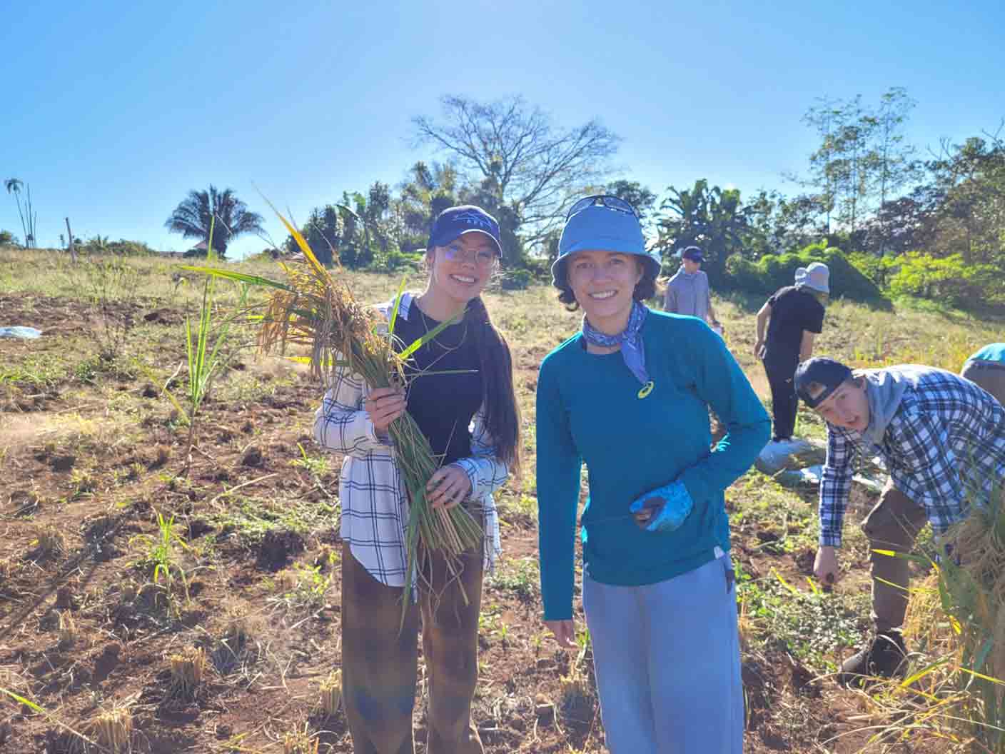 plusieurs jeunes dans un champs en train de se débarasser de hautes herbes dans le contexte de travail humanitaire au Costa Rica