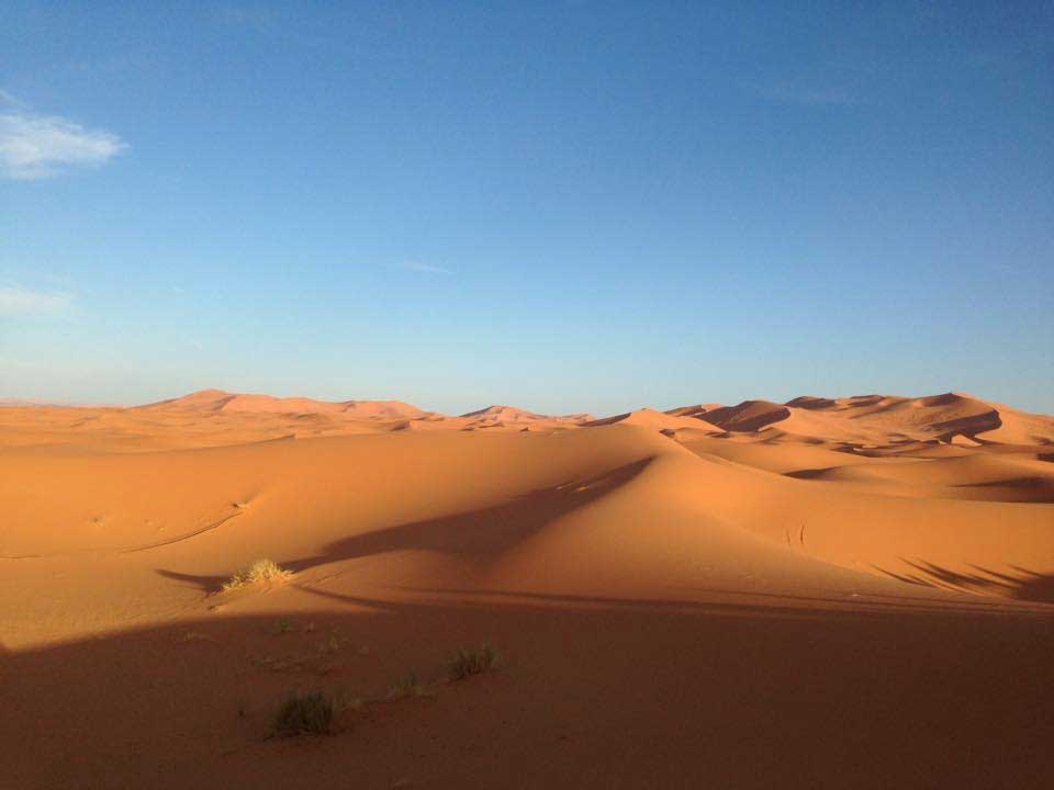 des dunes du desert de sahara