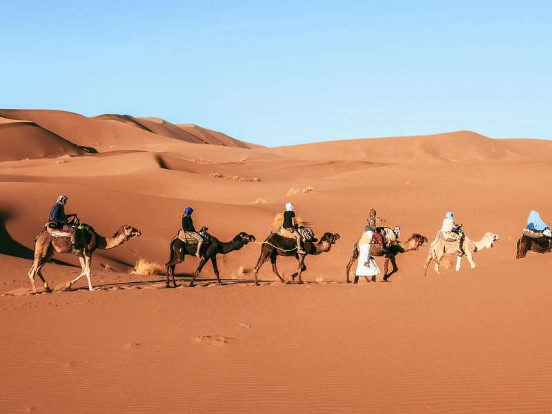 Maroc-ballade-chameau-desert-Aro-Voyages-CA
