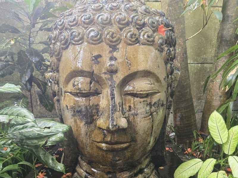 Costa-Rica-Pilates-intuitif (3)